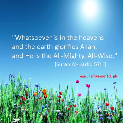 Whatsoever is in the heavens and the earth glorifies Allah