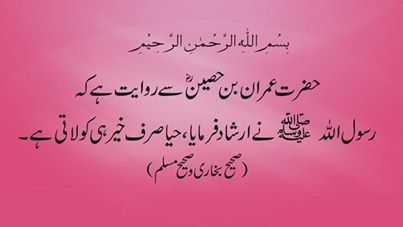 Haya sirf khair ko hi laati hai