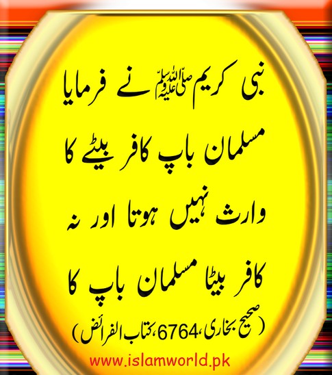 muslman bap kafir beta