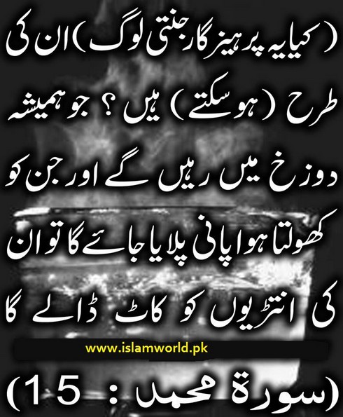 Jahanmi log