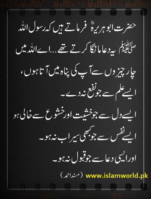 Main panah mangta hoon