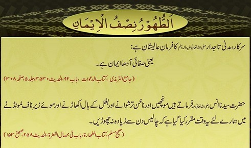 safai nisf iman hai essay in urdu for class 5